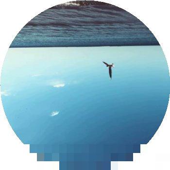 旋转图片验证码破解实战：原理剖析与高效识别指南