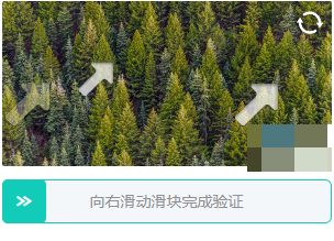 20种验证码逆向破解实战全攻略：从图像原理到高效识别方案