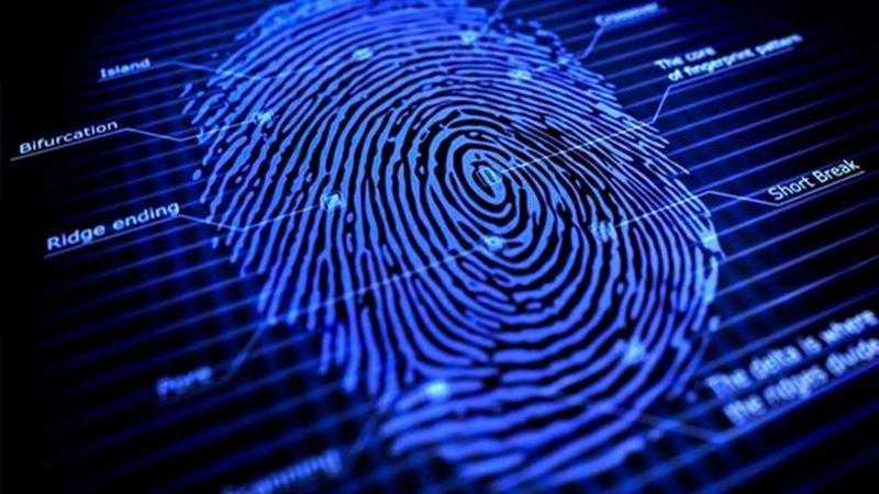 指纹识别黑科技大揭秘：AI模式识别的王牌应用与发明历程