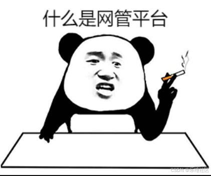 轻松上手网络管理系统：实用指南